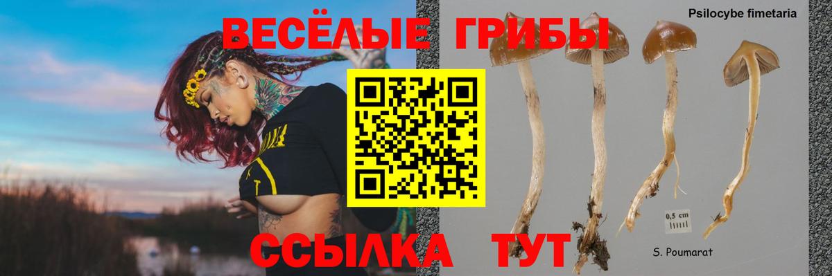 Псилоцибиновые грибы мухоморы Люберцы